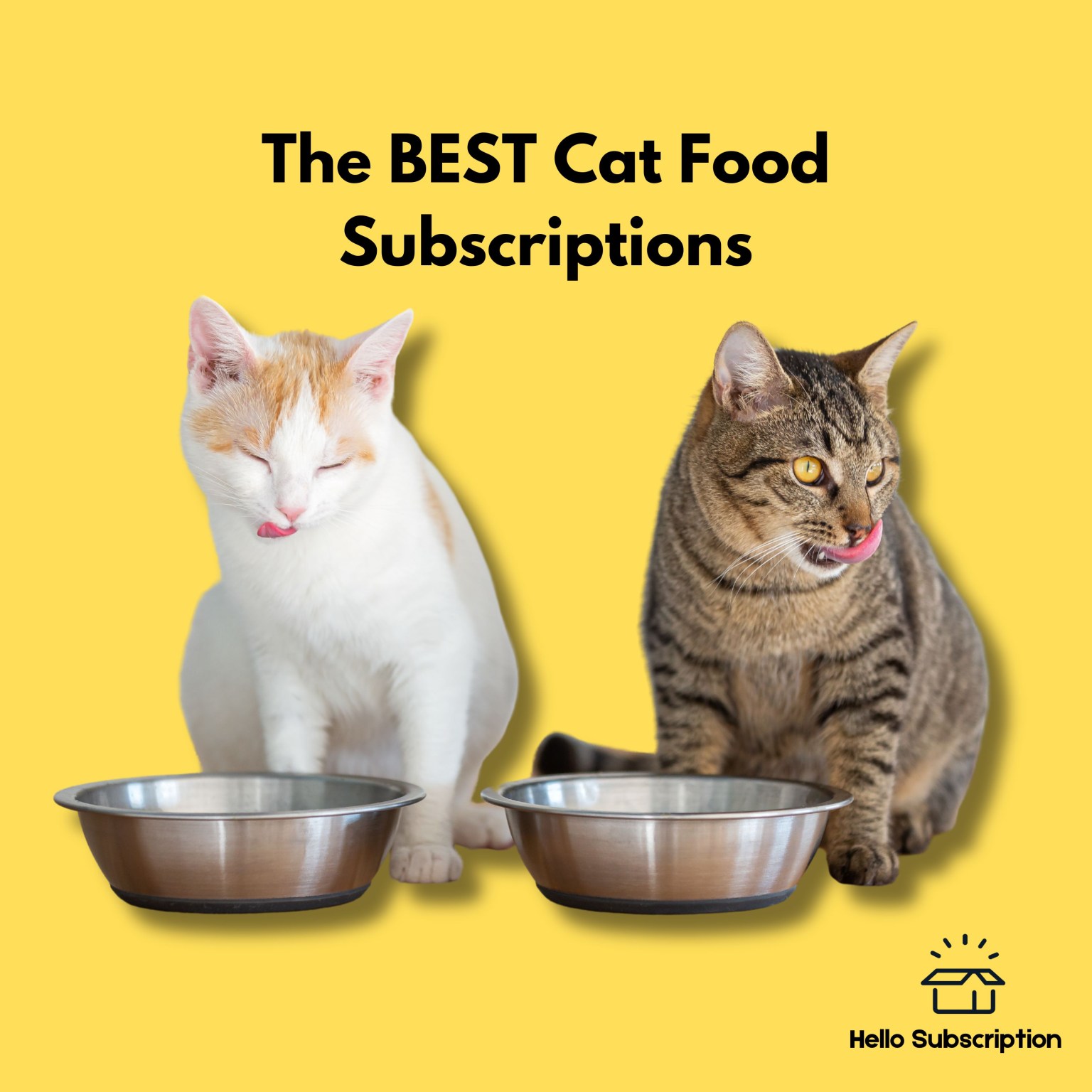 2024's 8 Best Cat Food Subscriptions That Your Feline Will Love Hello