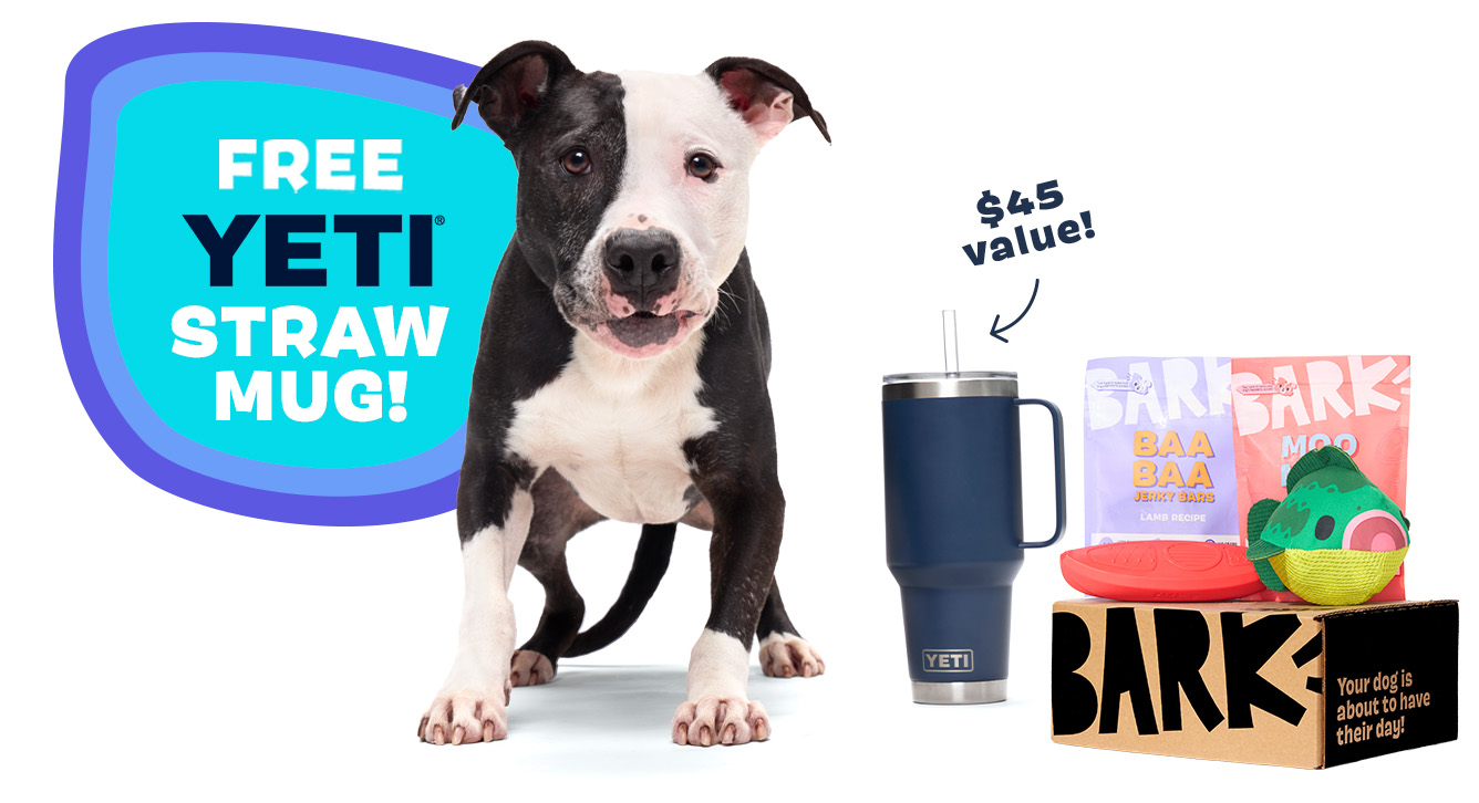 BarkBox & Super Chewer Deal: FREE Yeti Rambler Straw Mug With First Box ...