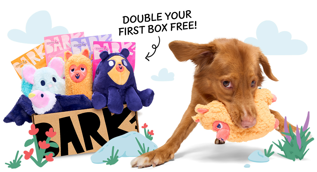 Double barkbox hotsell