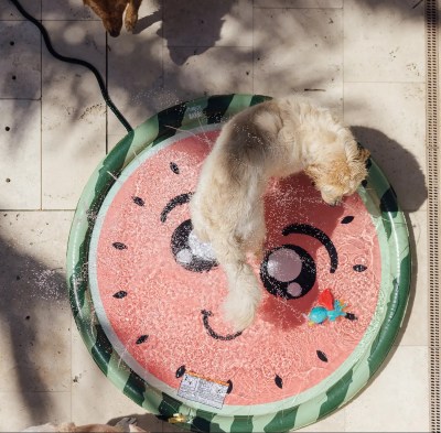 BarkBox x Funboy Dog Splash Pad: The Ultimate Summer Toy for Your Pup