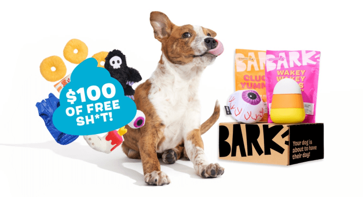 Shops barkbox premium toy