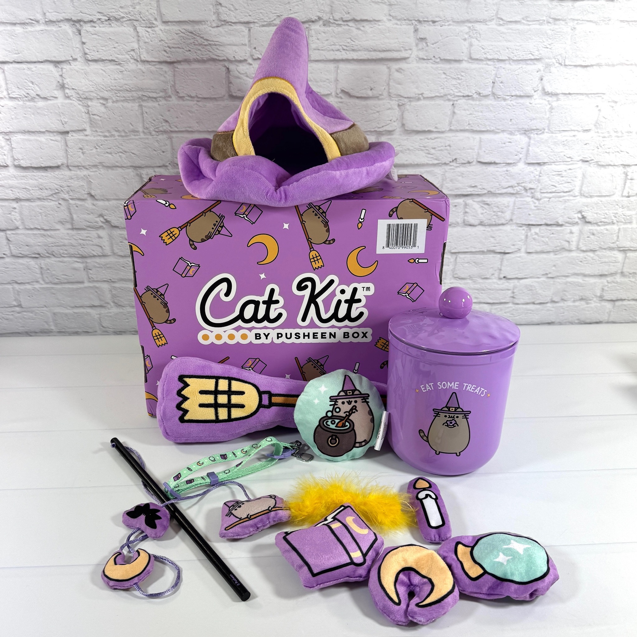 Cat Kit by Pusheen Box Fall 2024 Review: Mystical Meowgic - Hello