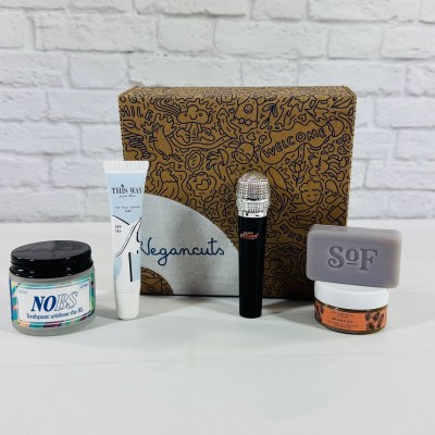 Vegancuts Beauty Box November 2024 Review: Winter Pick Me Up and Protect