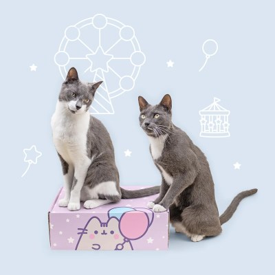 Cat Kit by Pusheen Box Spring 2025 Spoilers!