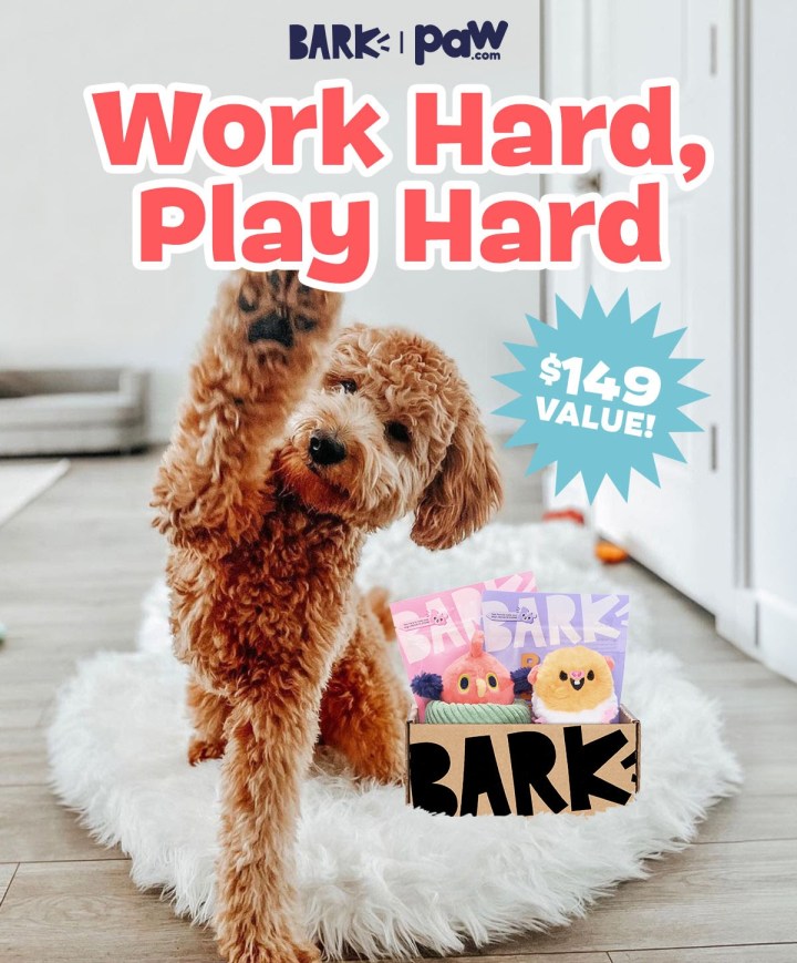 BarkBox Super Chewer Deal: FREE Dog Bed With First Box of Toys and BarkBox Super Chewer Deal: FREE Dog Bed With First Box of Toys and
