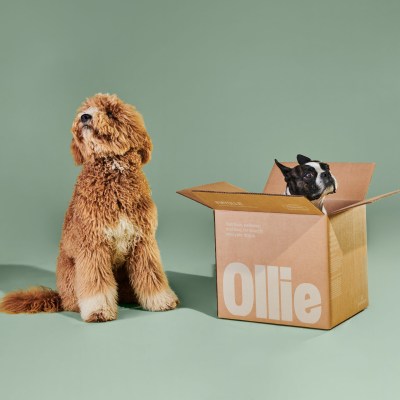Fresh All-Natural Dog Food Subscription With Ollie + 50% Off Starter Box Coupon!