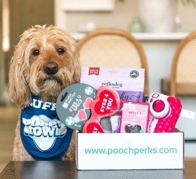Say Hello to Pooch Perks: The Easiest Way to Pamper Your Pup with Monthly Treats