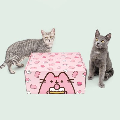 Cat Kit by Pusheen Box Summer 2025 Spoilers!