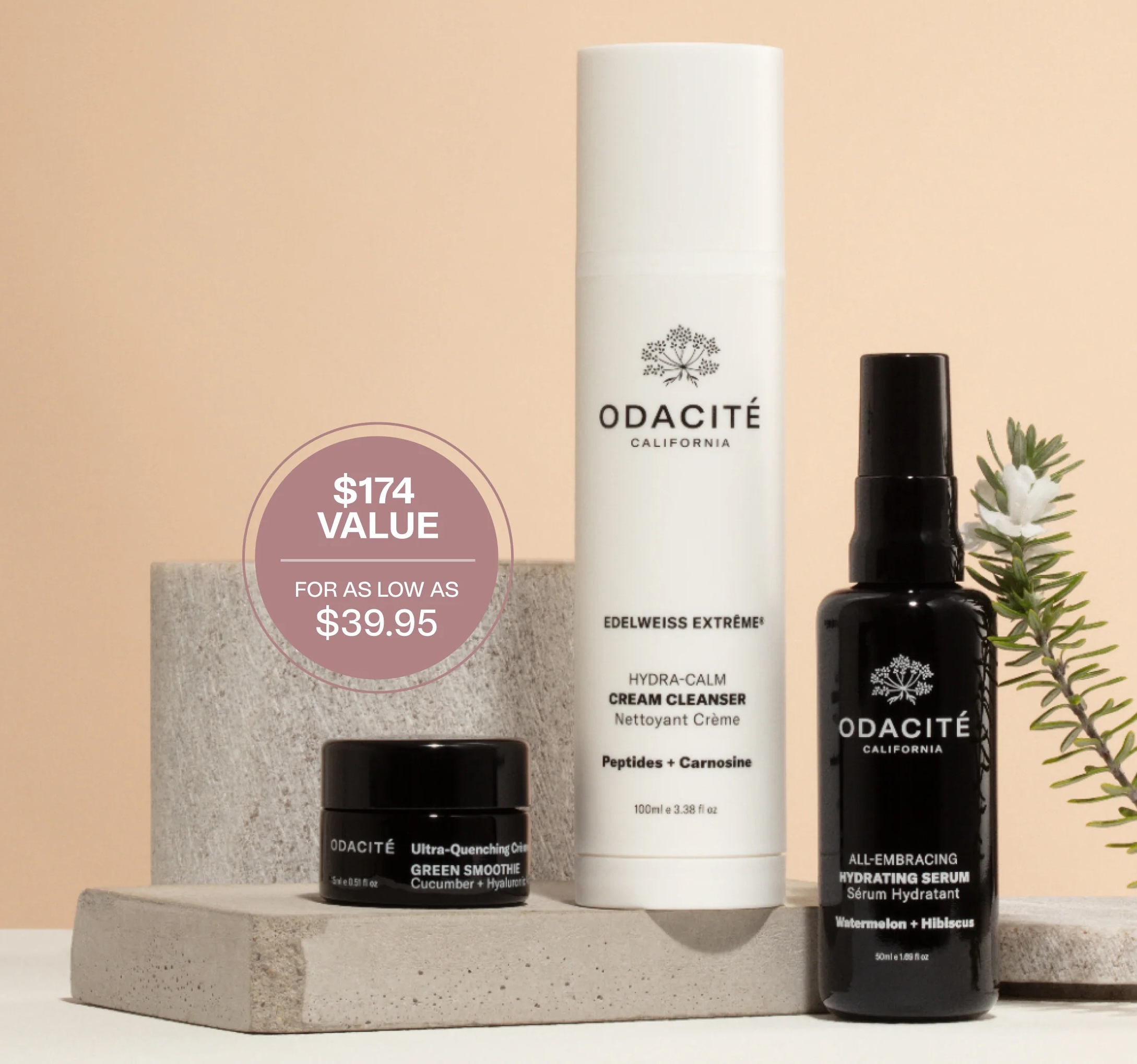 【新品】GB 1DAY CLEANSE SET Amazon.com: CLEANSE on the go - 1 Day Juice Cleanse - Just