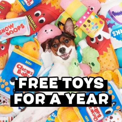 BarkBox & Super Chewer Deal: FREE Extra Toys In Every Box FOR A YEAR!