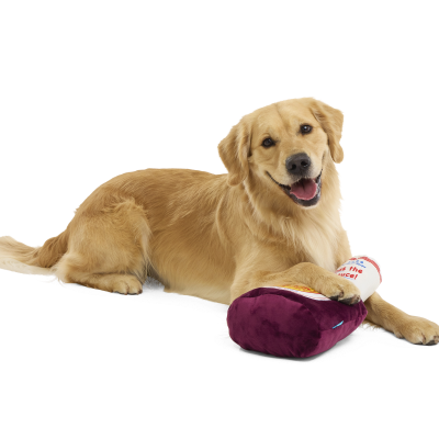 BarkBox & Super Chewer Deal:  FREE XL Big Dog BarkBQ Sauce Toy With First Box of Toys and Treats for Dogs!