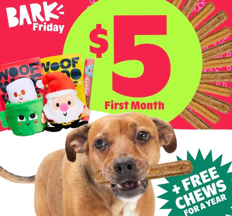 BarkBox Super Chewer Cyber Monday Coupon: First Month of Tough
