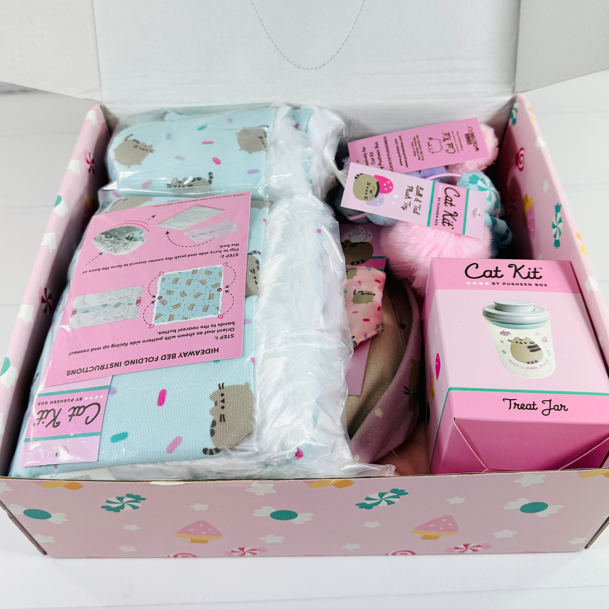 Cat Kit by Pusheen Box Winter 2025 Review - Hello Subscription